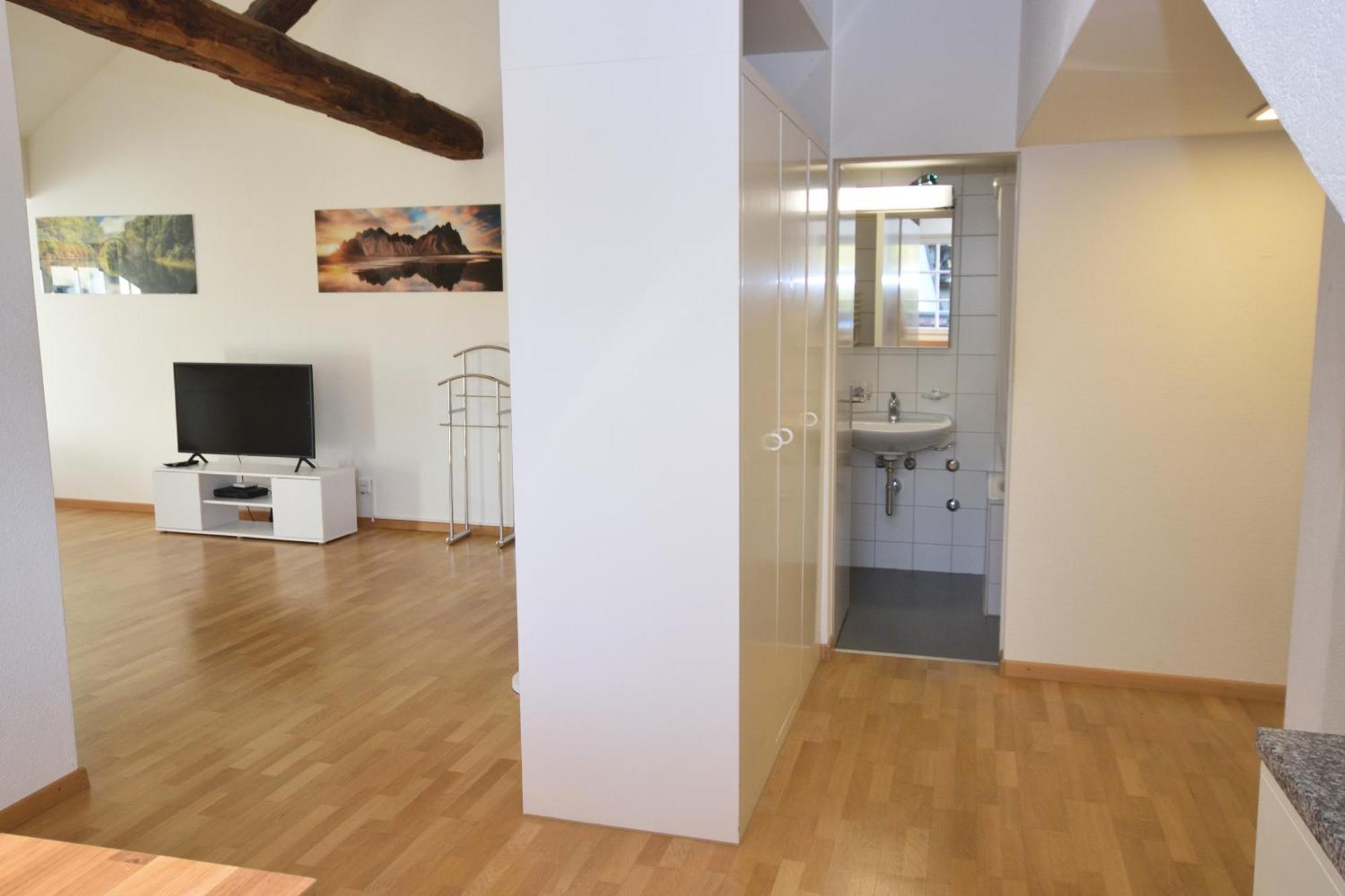 Apartment Loft In The Historical Center - Symbol 4 Zürich