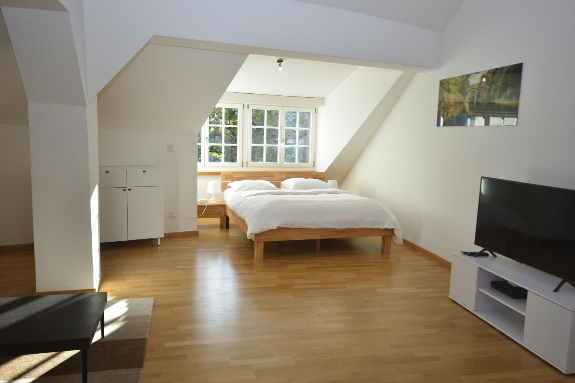 Loft In The Historical Center - Symbol 4 * Zürich